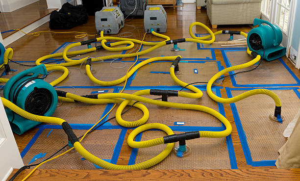 Professional Burst Pipe Water Damage technician working in Peoria, IL